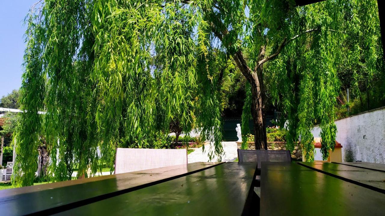 Villa Claire Corfu Achílleion 外观 照片